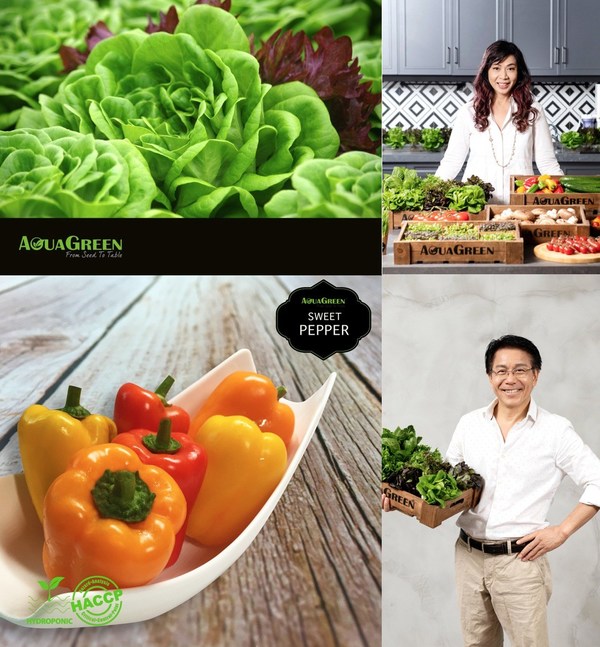 //mma.nyhomeapp.cn/media2/1322058/aqua_green.jpg?p=medium600