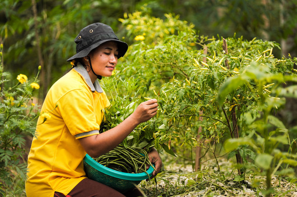 Golden Agri-Resources Provides Sustainable Food Supply amid COVID-19
