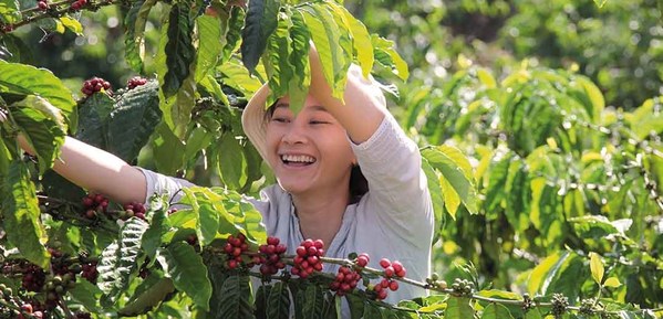 “雀巢咖啡計劃”彰顯咖啡的力量，改善更多農戶的生活水平
