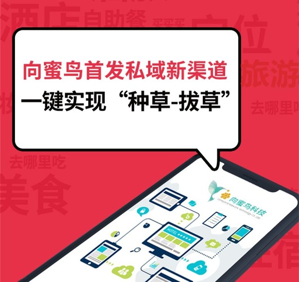 向蜜鳥科技助力酒旅商戶快速布局小紅書生態，高效獲取新增流量