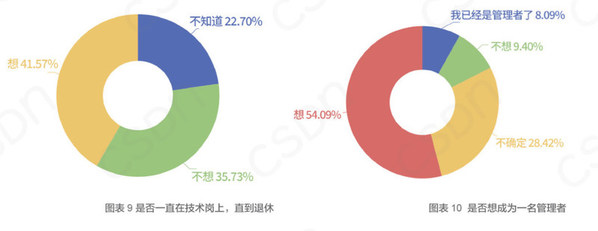 CSDN 2021中國開發者有獎大調查正式啟動
