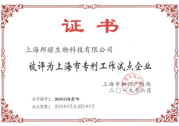 “上海市專利工作試點企業”榮譽證書