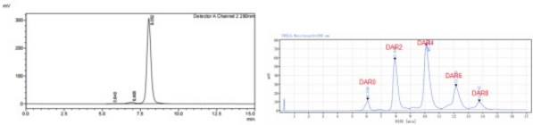 圖5. Her2 x Trop2雙抗的純度(SEC-HPLC)和偶聯后DAR分布(HIC-HPLC)