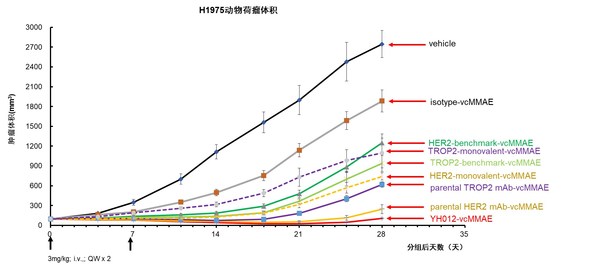 圖8. YH012在NCI-H1975模型藥效結果