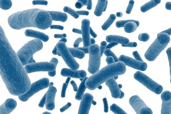 Angel Yeast, Bio China 2022?? ?? ?? ??? ?? ???