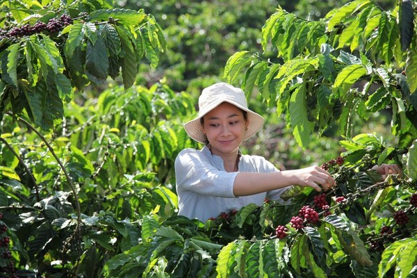 雀巢發布雀巢咖啡2030計劃