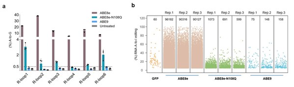 圖2：Cas9非依賴DNA 脫靶和RNA脫靶評價