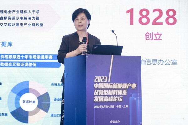 必維受邀出席中國國際新能源產業高峰論壇