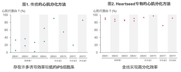 使用來自I Peace的iPS細胞，Heartseed成功穩定地誘導分化出高純度的心肌細胞