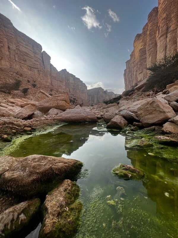 //mma.nyhomeapp.cn/media2/2532207/National_Center_for_Wildlife_SA.jpg?p=medium600