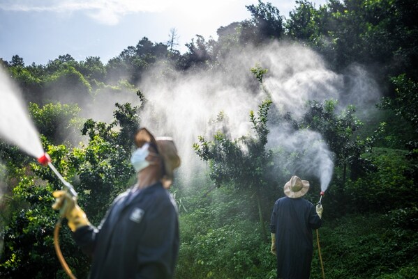 雅苒中國榮膺雙項大獎