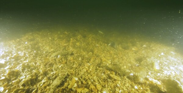 //mma.nyhomeapp.cn/media2/2690388/Urgent_Call_Marine_Protection_The_Nature_Conservancy_Urges_Stronger_Safeguards.jpg?p=medium600