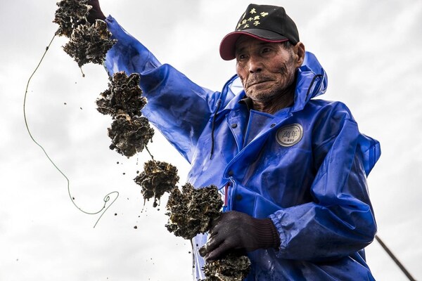 A Taiwanese oyster farmer contributes to a circular future — his discarded shells are transformed into Seawool?, a sustainable and high-performance textile.