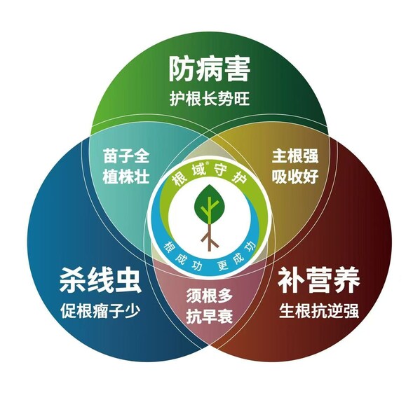 &#25308;&#32819;&#26681;&#22495;&#23432;&#25252;&#21697;&#29260;2.0&#8212;&#8212;&#8220;&#26681;&#22495;&#23432;&#25252;&#19977;&#29615;&#8221;