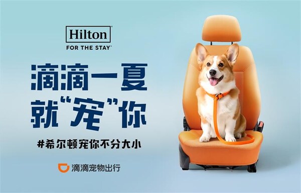 聯動滴滴寵物出行，升級攜寵 “住行一體”體驗