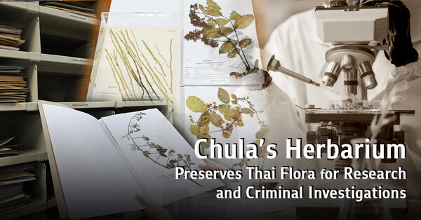 チュラーロンコーン大學の植物標本室、タイの植物を研究と犯罪捜査のために保存