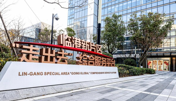臨港新片區“走出去”綜合服務平臺