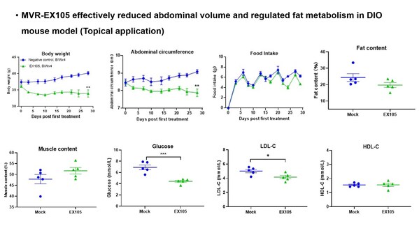 In Vivo Efficacy Validation (Mouse Model)
