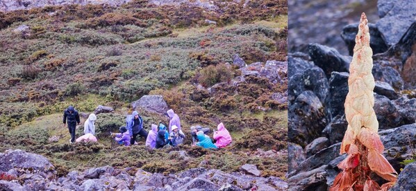 色季拉山生物多樣性考察