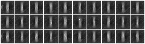 LivingPhoenix Technology’s POGMENT collagen achieves global first high-resolution visualization of "collagen fiber bundles" via Cryo-EM