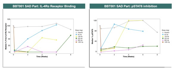 IL4R binding and pSTAT6 inhibition